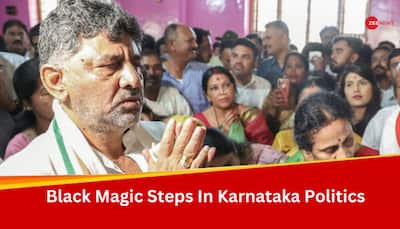 Black Magic Steps In Karnataka Politics, Claims DK; Says 'Goats, Buffaloes, Sheeps And Pigs...'