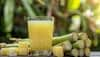 Sugarcane