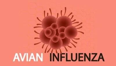 Avian Influenza Detected In Four States: Centre Urges Immediate Preventive Measures