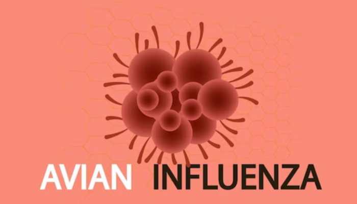 Avian Influenza Detected In Four States: Centre Urges Immediate Preventive Measures