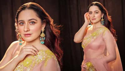 Heeramandi Actress Sanjeeda Shaikh Reveals She Was Once Groped By A Woman, Says 'I Was In A Nightclub And She Touched...'