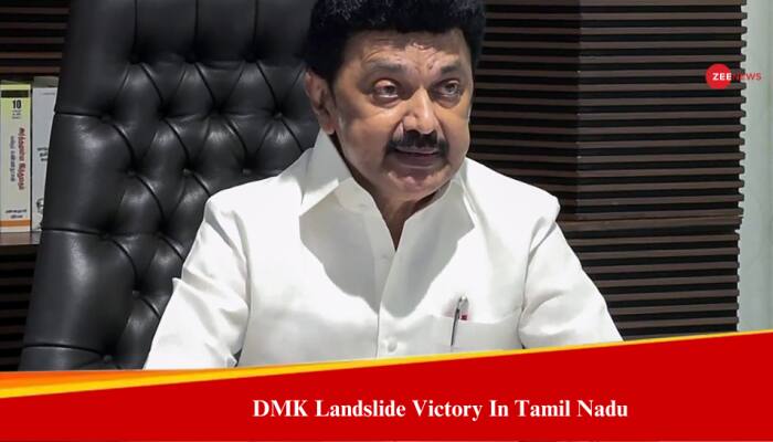 Tamil Nadu Lok Sabha Election Result 2024: DMK And Allies Poised For Landslide Victory In Tamil Nadu, BJP Fails To Open Account