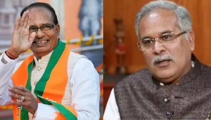 Lok Sabha 2024 Election Results: In Hindi Heartland Of MP And Chhattisgarh, BJP Continues To Rule