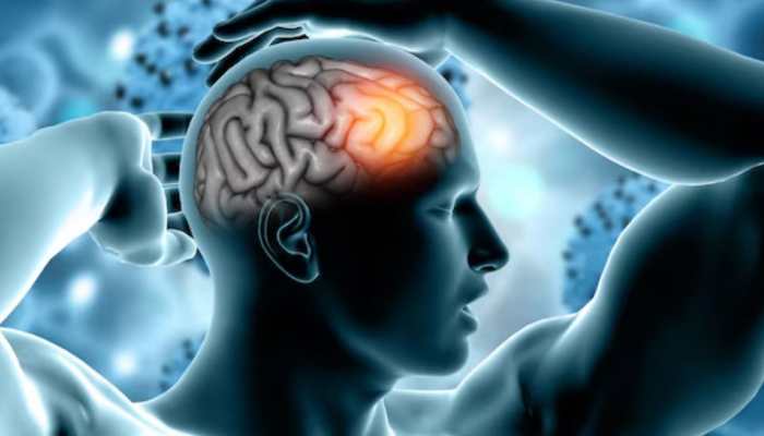 Spotlight On Brain Tumor Awareness: Decoding Early Signs And Symptoms