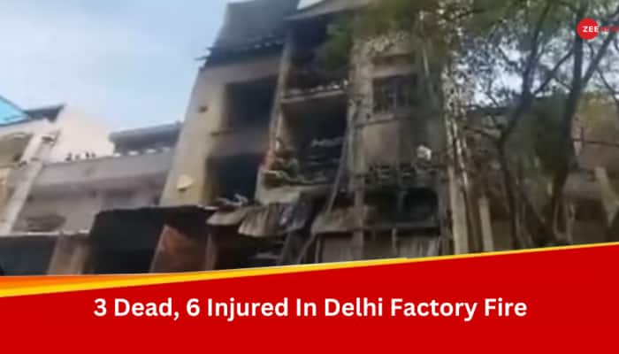 3 Workers Killed, 6 Injured As Fire Breaks Out In Factory In Delhi 