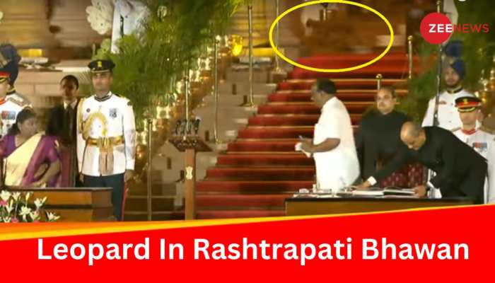 Watch: Leopard Or Cat? Video Of Wild Animal Taking Stroll Behind PM Modi During Swearing-In Event In Rashtrapati Bhawan Goes Viral