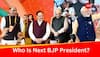 Who Will Be Next BJP President After JP Nadda? Check Surprising Names In Race