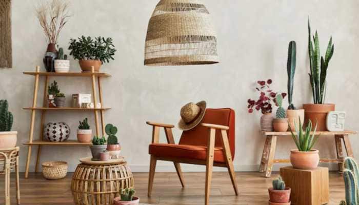 Summer Refresh: Transforming Your Home With Seasonal Furniture Trends