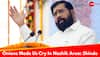 Onions, Soy And Cotton Made NDA Cry In Maharashtra Lok Sabha Elections: Eknath Shinde