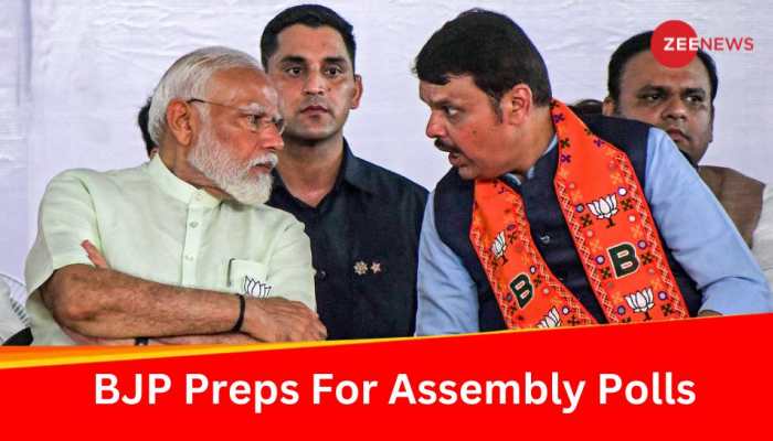 After Big Set Back In Lok Sabha Election, BJP Gears Up For Assembly Polls In Maharashtra After Big Set Back In Lok Sabha Election, BJP Gears Up For Assembly Polls In Maharashtra