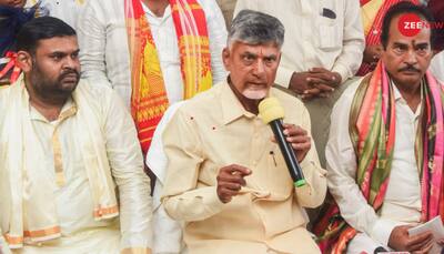 Naidu Accuses Jagan Govt Of Turning Tirupati Temples Into Hotbed Of 'Marijuana, Liquor And Non-Veg', Says 'Cleansing Will Begin...'