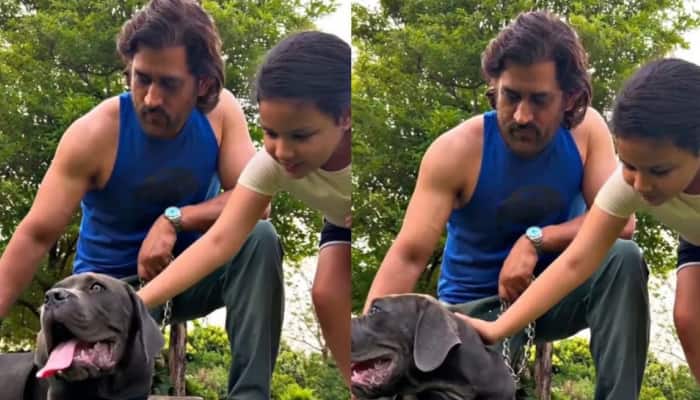 WATCH: Ziva Dhoni&#039;s Adorable Video For MS Dhoni On Father&#039;s Day Goes Viral