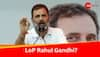 First Time Since 2014, Opposition To Get Leader In Lok Sabha But It May Not Be Rahul Gandhi