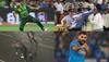 cricket fights 2024
