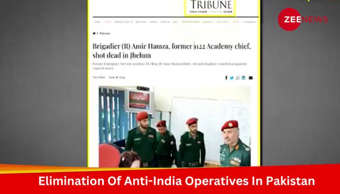 DNA Exclusive: Who Is India's 'Unknown Friend' Behind The Elimination of Anti-India Operatives In Pakistan?