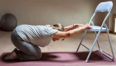 International Yoga Day 2024: Yoga Adaptations For Seniors With Limited Mobility