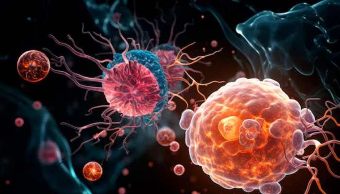 Explained: What Is Brain-Eating Amoeba? Check What Led To Kerala Tragedy