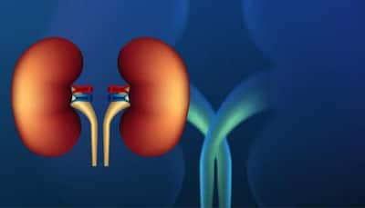 Shielding Your Health: Essential Preventive Measures Against Kidney Cancer