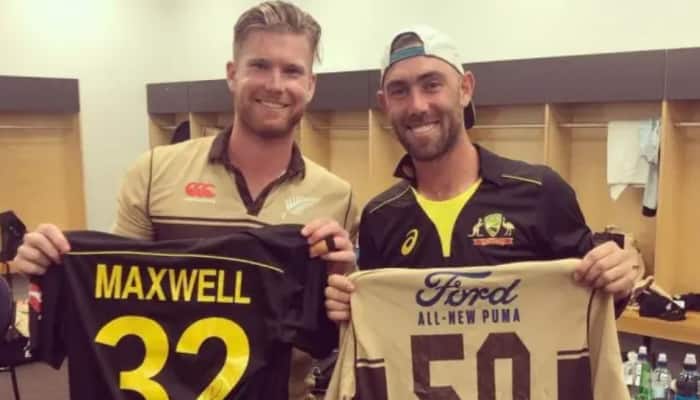 Jimmy Neesham And Glenn Maxwell: Who Is More Famous?