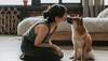 Understanding Your Furry Friends: 6 Benefits Of Tracking Pets' Activities