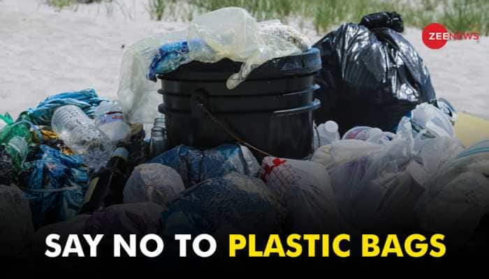 International Plastic Bag Free Day: Its Significance, Ways Of Celebrating &amp; Alternatives 