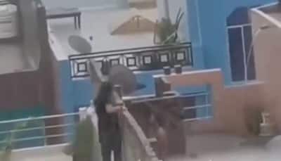 'Barish Ka Sahi Istemal': Video Of Couple Romancing Secretly On Roof During Rain Goes Viral; Watch
