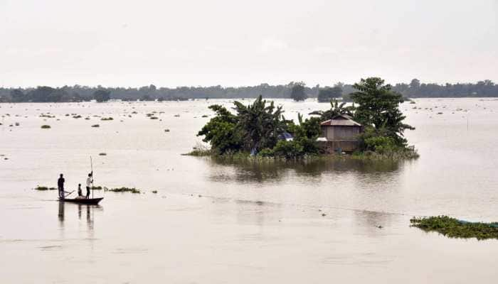 Assam Floods: 137 Wild Animals, Including 6 Rhinos Dead In Kaziranga National Park