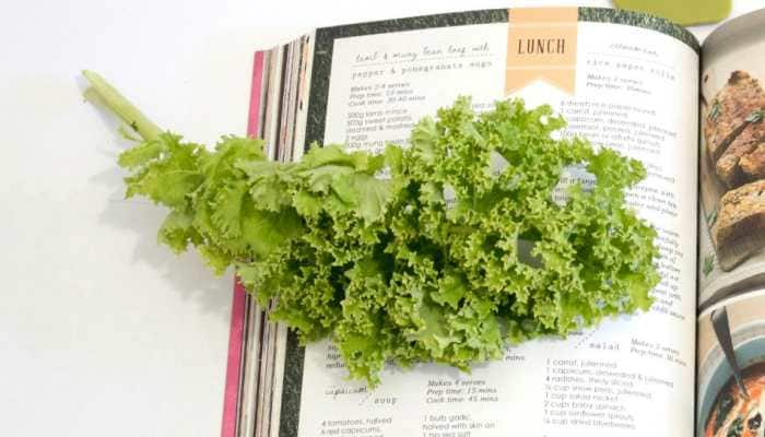 Kale For Health: Health Benefits &amp; 6 Yummy Recipes