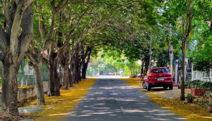 Why Is Bengaluru So Cool Throughout The Year?