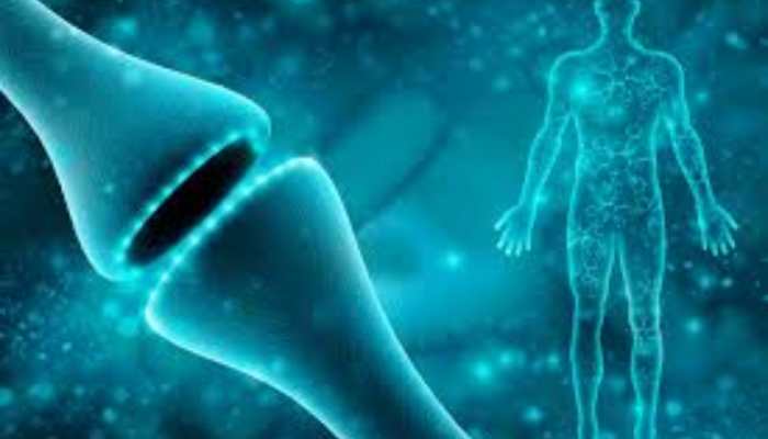 Listen to Your Body Signals: Which Indicates Bad Health Listen to Your Body Signals: Which Indicates Bad Health