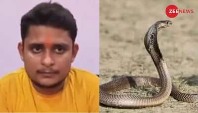 Coincidence Or Conspiracy? UP Man Allegedly Bitten By Snake Seven Times In 40 Days; Investigation Begins