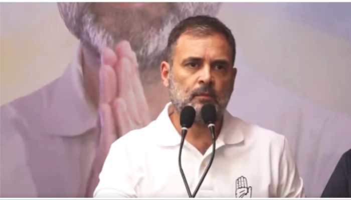 Rahul Gandhi Criticizes BJP, Hails INDIA Bloc's Victory in By-Elections 