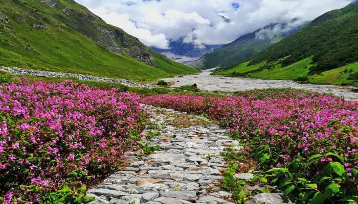 Planning To Trek &#039;Valley Of Flowers&#039; In Monsoon, Know These Important Things