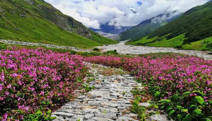 Planning To Trek 'Valley Of Flowers' In Monsoon, Know These Important Things