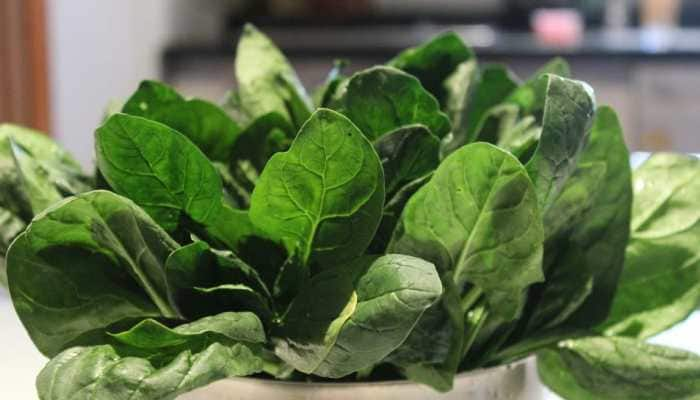 Fresh Spinach Day 2024: Significance, History &amp; Ways To Celebrate 