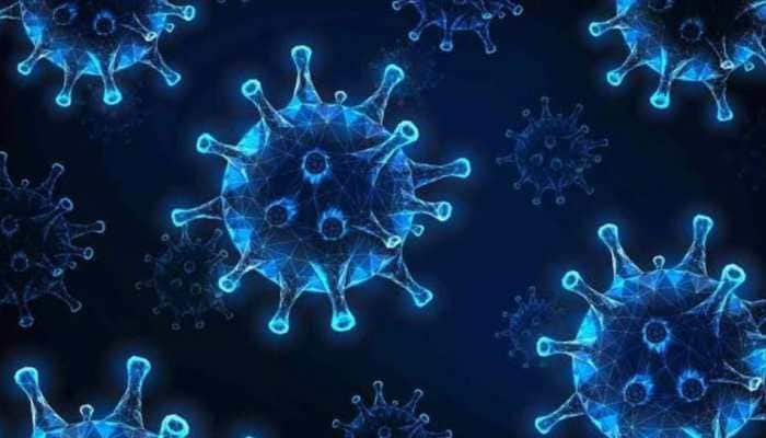 Gujarat: Chandipura Virus Outbreak Claims Six Children in Five Days, Total 12 Infected