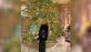 Dubai Princess Shaikha Mahra Announces Divorce On Instagram: 'Dear Husband...I Divorce you'