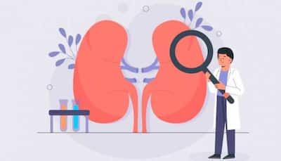 Guarding Your Health: Preventive Measures To Lower Kidney Cancer Risk