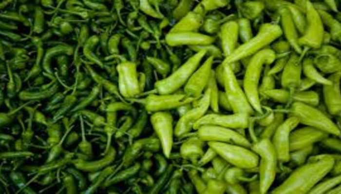 Eating Green Chillies Has Many Health Benefits And In Addition To The Heart, Healthy Digestion Is Maintained