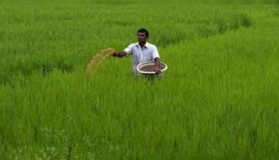 Union Budget 2024: Time To Further Modernise Agri Sector With Corporate Investments