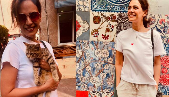 After Munjya, Mona Singh Set To Star In Aamir Khan Productions Comedy Adventure
