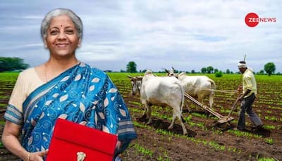 Rs 1.52 Lakh Crore Boost For Agriculture In Budget: Emphasis On Natural Farming, Jan Samarth Kisan Credit Cards And More