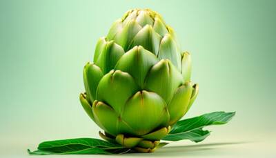 Improve Your Health with Artichokes: Know All the Benefits