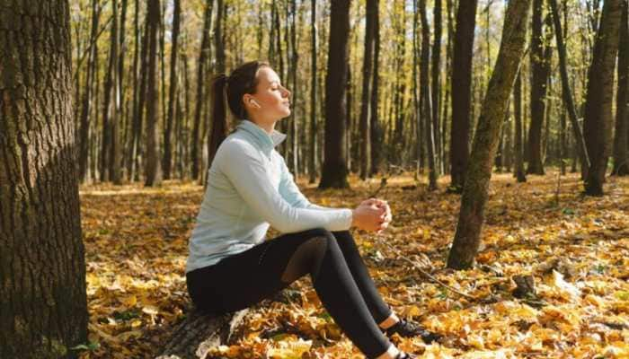 How Turning Daily Walk Can Boost Mindfulness Into Your Life 