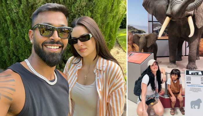 Hardik Pandya Has THIS To Say About Ex-Wife Natasa's Constant Pics Posting With Son Agastya Pandya After Divorce Announcement 