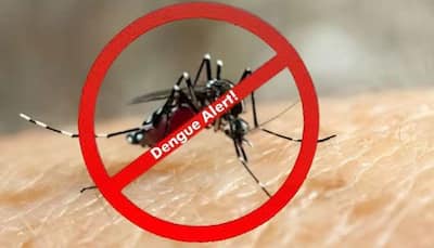 Dengue Alert: Doctor Warns Of Serious Brain And Nervous System Impact