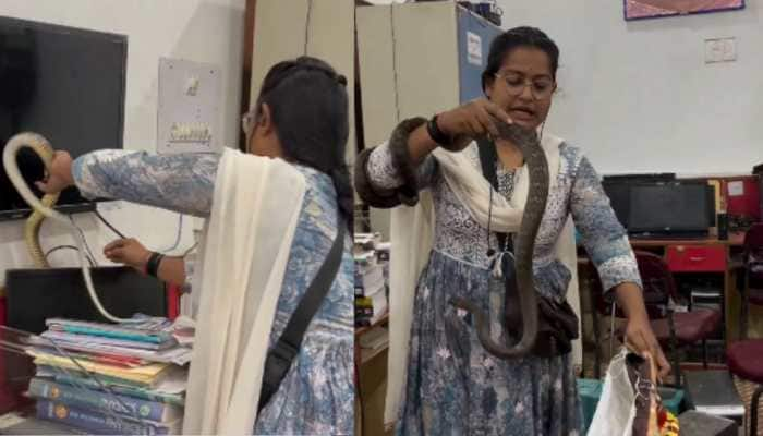 Woman Daring Stunt, Catches Big Size Snake Hiding In An Office Desk; Stunning Video Viral-Watch 