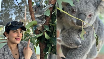 Priyanka Chopra Jonas Delighted By Koala Named After Her In Australia