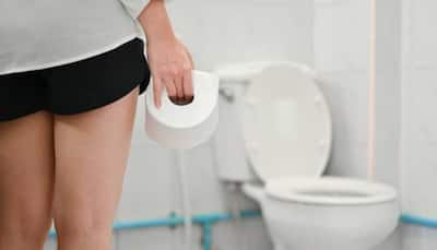 Public Toilet Seats: Are They As Hazardous As We Think?