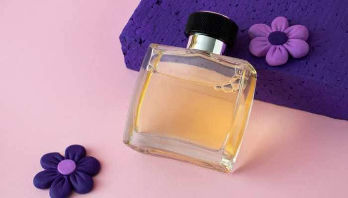 Sweet Scents on a Budget: Affordable Perfumes You&#039;ll Love